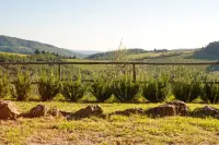 Agriturismo Marchesi Gondi - Poggio Martini