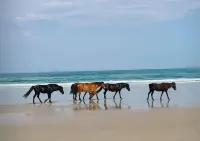 OceanfrontOasis w/Breathtaking Views! Pool w/TikiBar.Hottub.Guesthouse