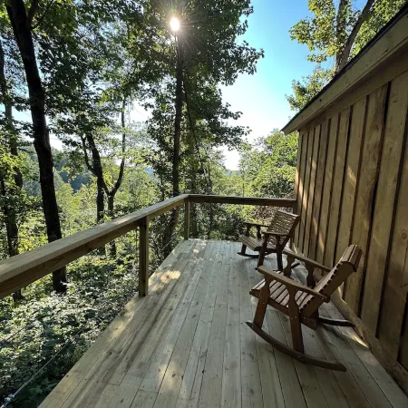 Cabin in the woods