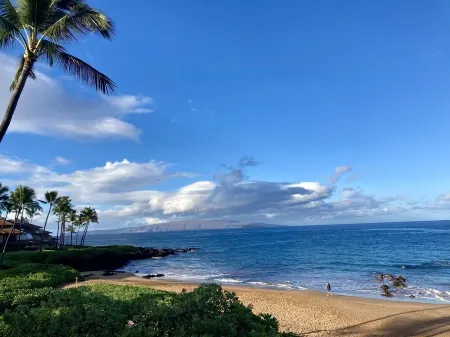 Amazing Oceanfront Platinum Condo; Gorgeous Views.  Whales.  Step in Snorkeling. Отели рядом с достопримечательностью «Онелоа Бич»