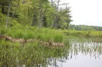 Contemporary Family Lodge, 1/2 mile to Lake!