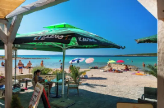 Fantastic Garden Zoey 6