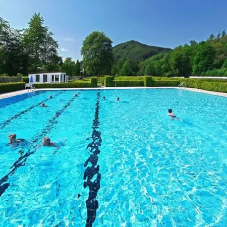 Modern Ferienhaus Nahe Von Winterberg Mit Garten