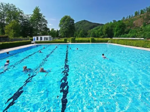 Modern Ferienhaus Nahe Von Winterberg Mit Garten