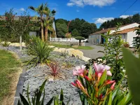 Les Cuves - Saintes Hotels in Chaniers