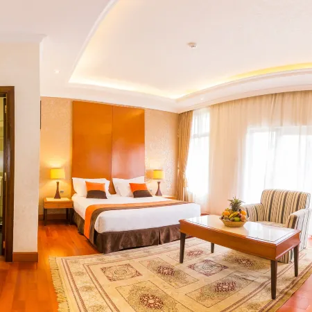 Alba Hotel Meru