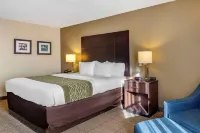 Comfort Inn Hotels in Clinton