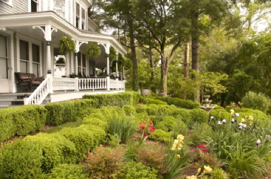 Biltmore Village Inn B&B