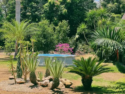 El Ranchito Surfcamp Các khách sạn ở 