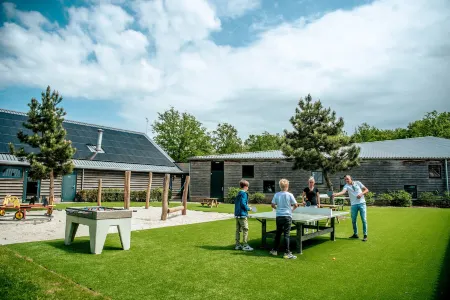 EuroParcs Ruinen Отели в г. Вестервелд