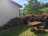 Quiet vacation home on the edge of the forest with sauna and fireplace Hotels in Schleusegrund