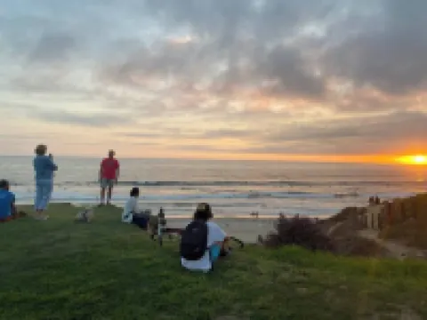 Soothing Ocean Sounds, Beach Views, Floor-to-Ceiling Windows: True Beach Therapy