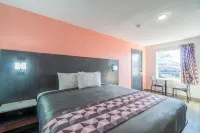 Royal Inn - Ramah Hewan Peliharaan