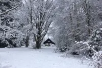 House Near Forest and Lake in Vielsalm