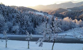 Apartment Jorsi with Mountain View