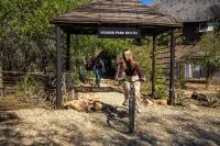 Kruger Park Hostel Hotels in 