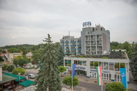 Hotel Silver Отели в г. Хайдусобослоский яраш