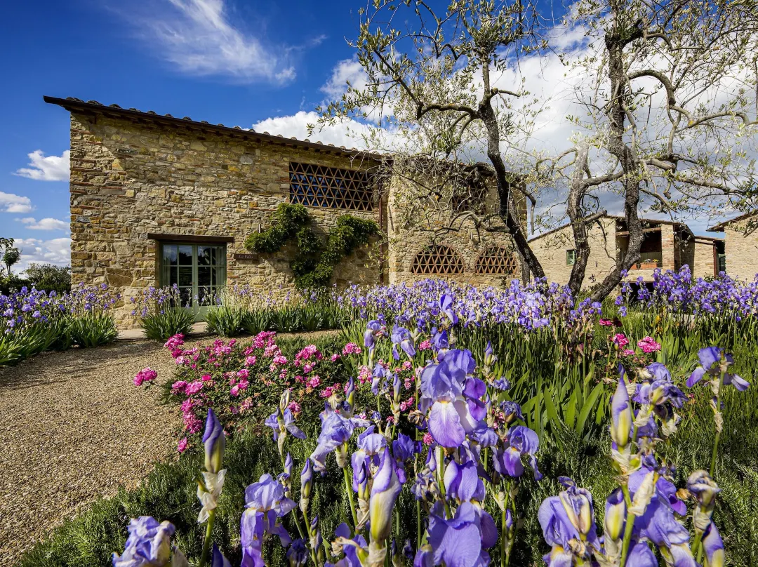 Borgo Del Cabreo - Greve in Chianti