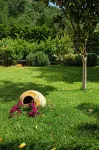 Colonides Beach Hotel Hotels in Petalidi