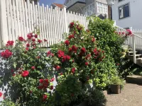 Nautic Hotell Hotel a Marstrand