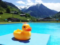 Hotel Wasserfall - Including Summercard فنادق في Fusch an der GlocknerstraBe