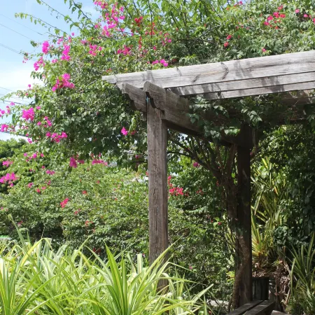 Tingum Village Hotel