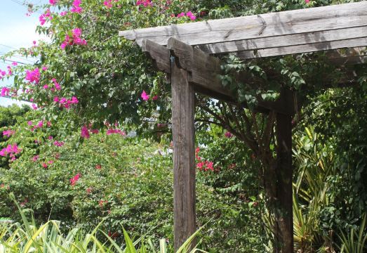 틴굼 빌리지 호텔