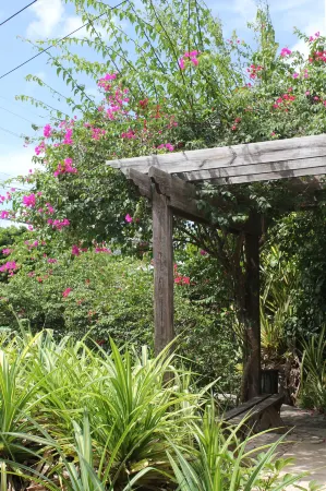 Tingum Village Hotel Отели в г. Данмор-Таун