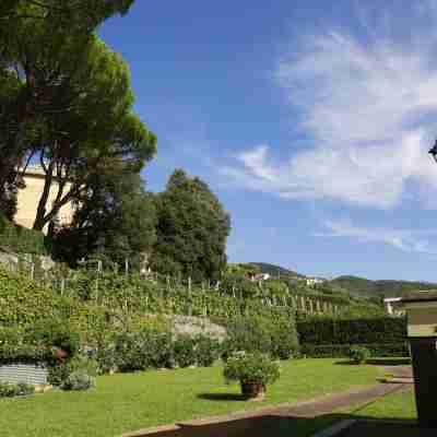 Villa Agnese Hotel Exterior