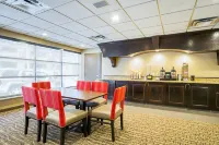 Comfort Inn Downtown Hotel a 