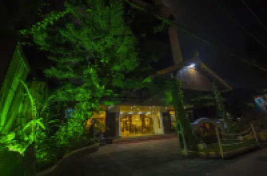 ذا ريناي كوتشين فنادق في 