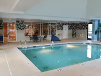 Hilton Garden Inn Atlanta Airport/Millennium Center - Pools