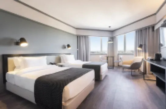 HF FÉNIX PORTO Hotels in 