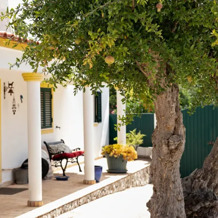 B&B Quinta da Romãzeira