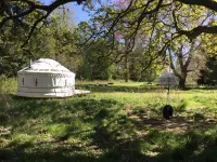 Bamff Ecotourism - Pet friendly