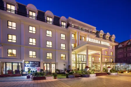 Sapa Freesia Hotel