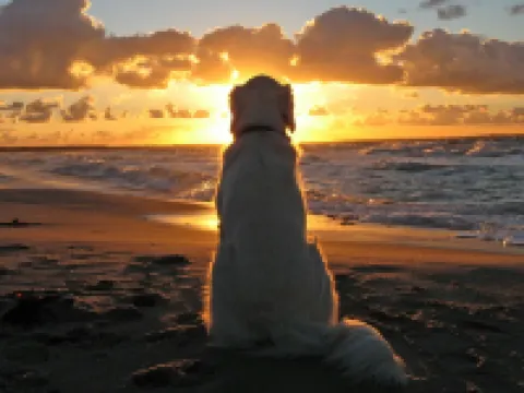 Best Western Fowey Valley Hotel di Lostwithiel