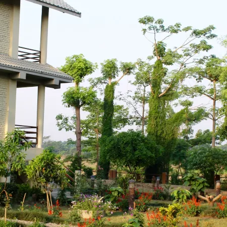 River View Jungle Camp