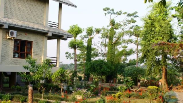 River View Jungle Camp