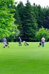 Brown Trout Golf & Country Inn - Wifi