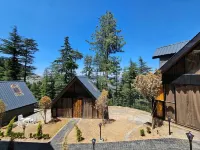 BlackPearl Cottages - Kufri