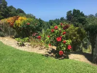 Teresinajamaica Hotels in 