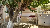 Hotel Tropicana