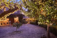 Agroturismo Sa Vinya des Convent - Farmhouses