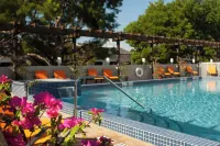 Courtyard Miami Coral Gables Hotels in Coral Gables