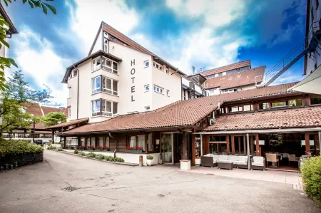 Ringhotel Gasthof Hasen Отели рядом с достопримечательностью «Burgruine Hohennagold»