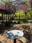 Mangroove Bay Boutique Hostel Hotel in zona Merajan Dadia