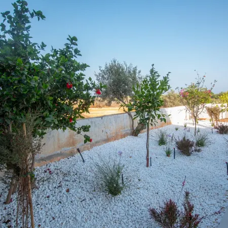 Protaras Art House Seviews