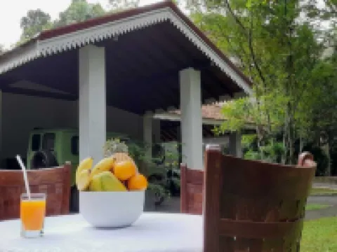 "錫蘭國王花園酒店" 尼甘布酒店