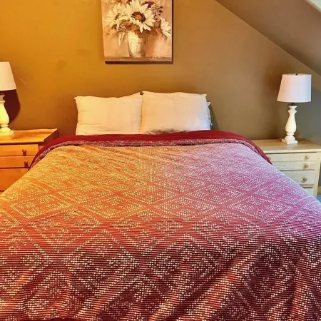 AlaskaRado  2-Bedroom Townhome in Beautiful Ouray